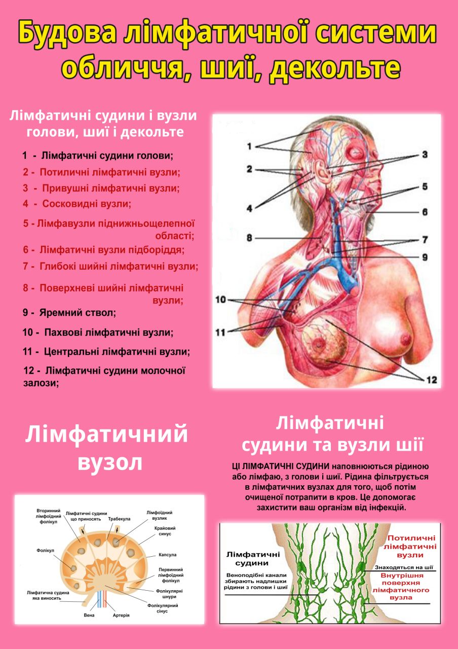 плакат в массажный кабинет