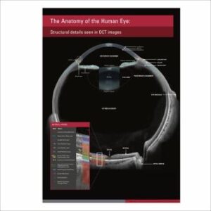плакат анатомия человеческого глаза