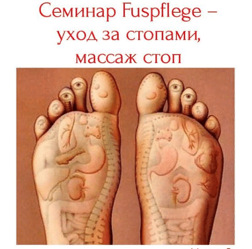 Семинар Fuspflege – уход за стопами, массаж стоп